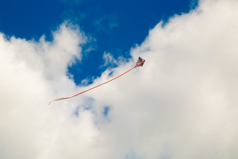 自由に飛ぶ凧