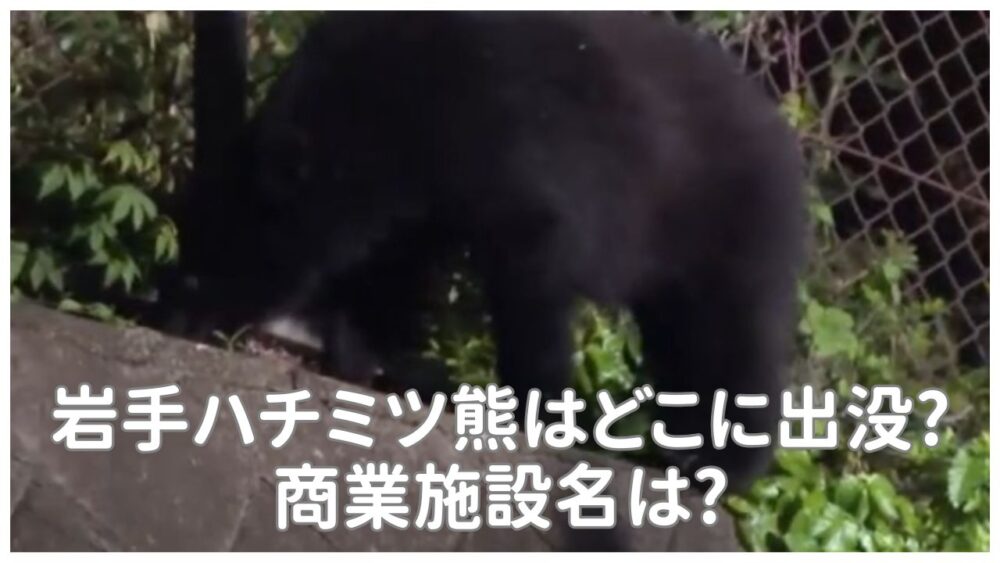 【地図】岩手のハチミツ熊はどこに出没?商業施設名は?手法に批判の声も