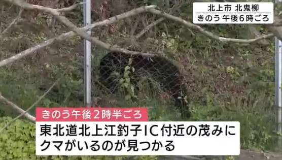 岩手県北上市熊はどこに出現?