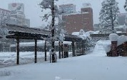 ウェザーニューズ