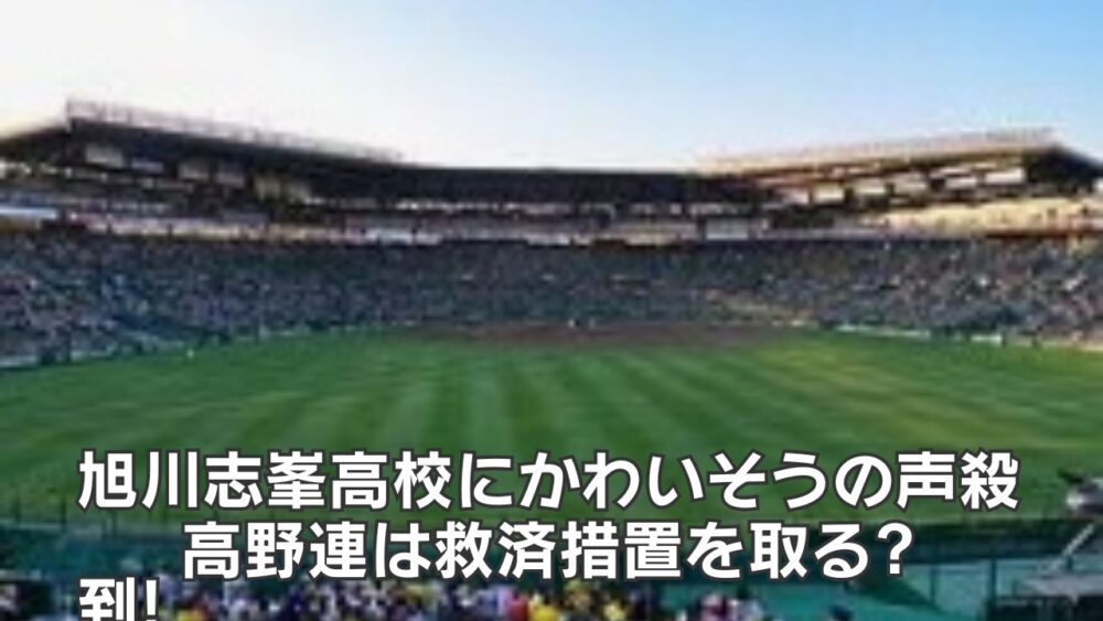 旭川志峯高校にかわいそうの声殺到!高野連は救済措置を取る?