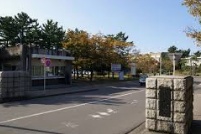 新潟大学