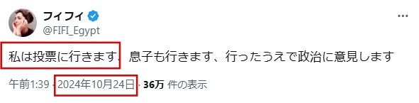 フィフィ選挙に行った